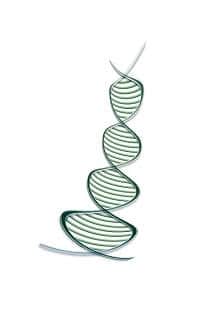 Aminisäuere DNA